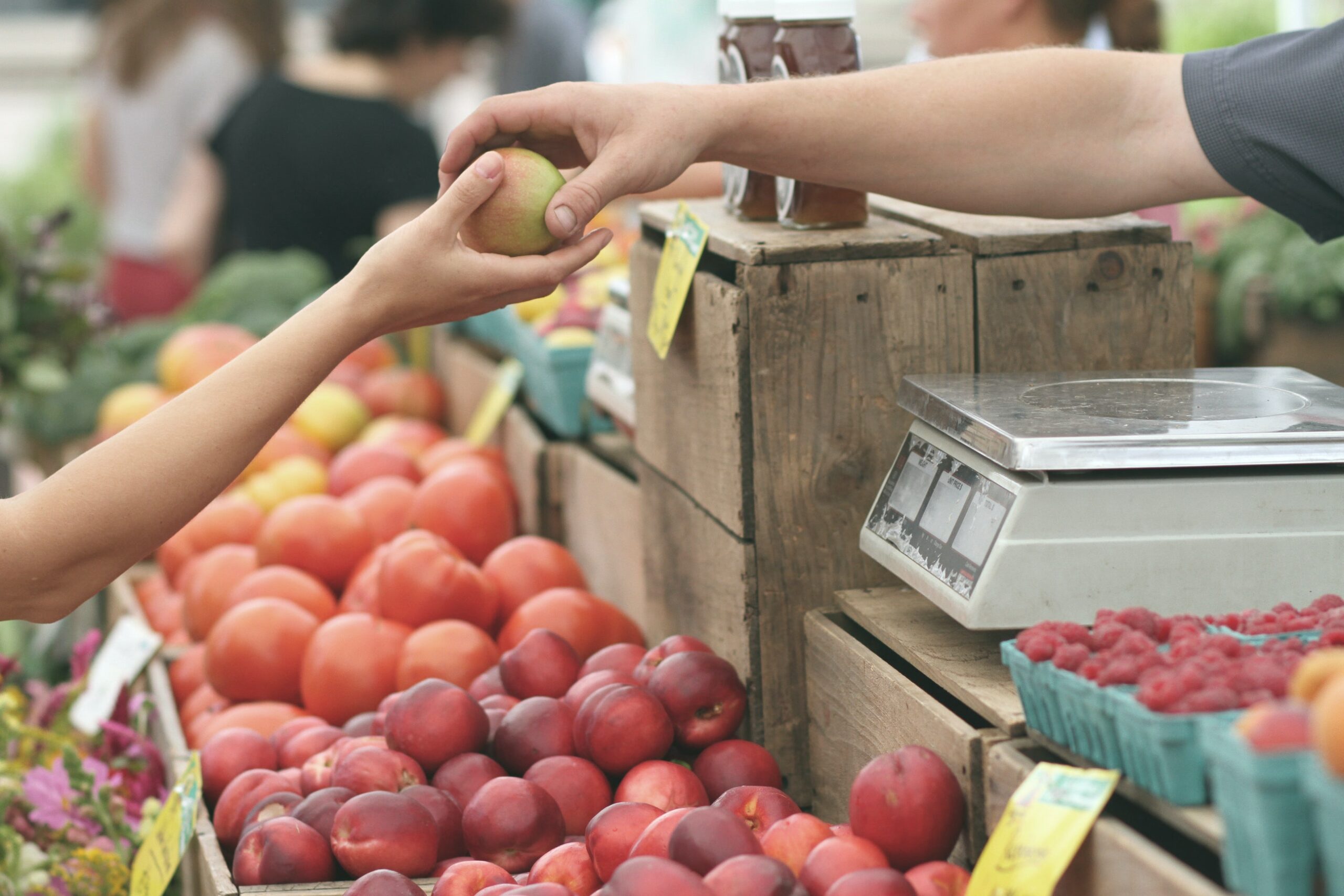 12 hábitos alimentarios sostenibles: Bueno para ti, bueno para la Tierra