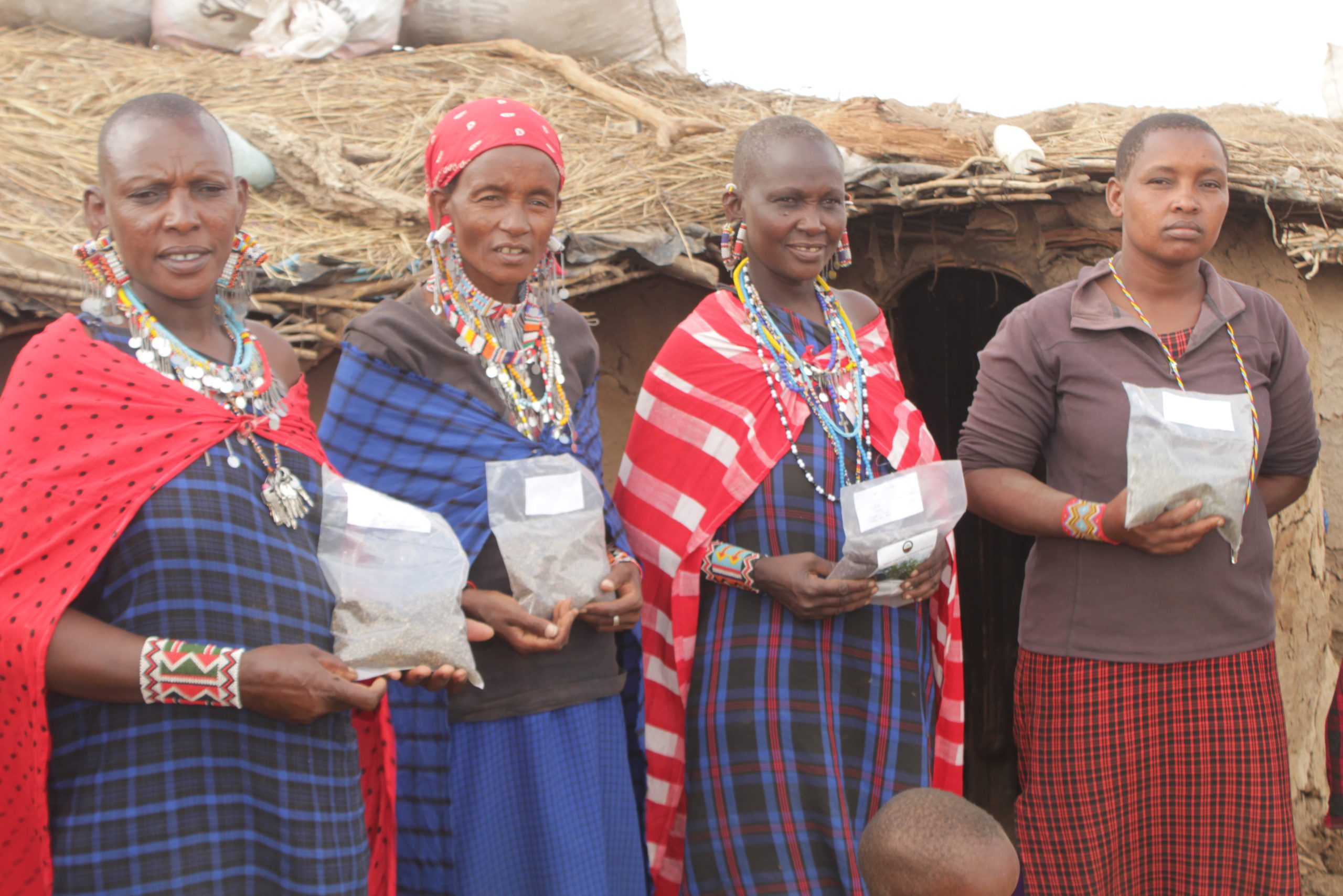 La Comunidad Masai: Educación, economía y conservación del medio ambiente