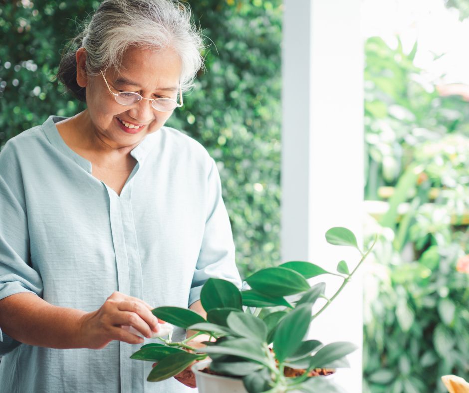 El impacto del medio ambiente en la salud humana: Una conexión vital El impacto del medio ambiente en la salud humana: Una conexión vital