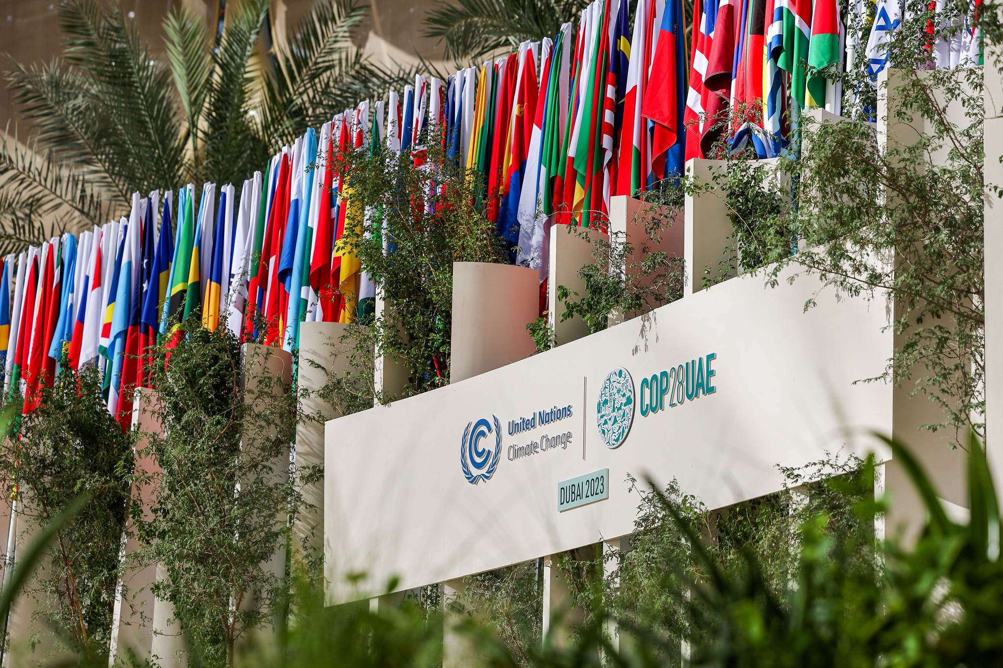 Mensaje del Papa Francisco a la COP28