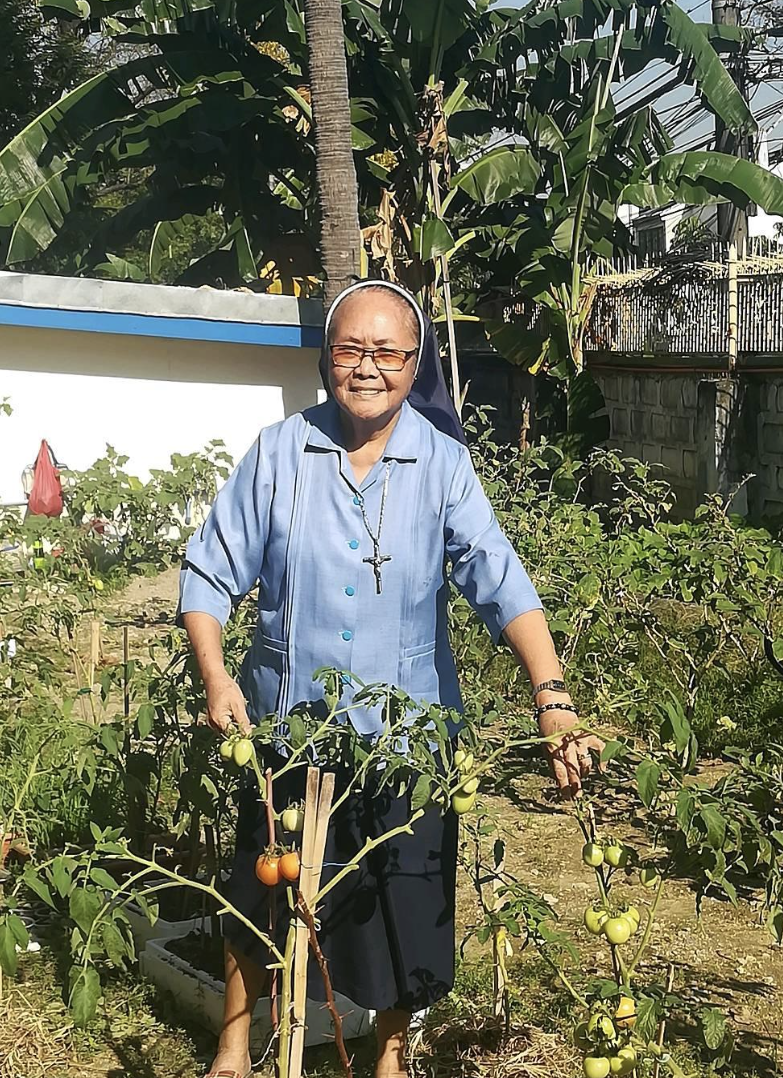Perfil del participante: Una vida en torno a Laudato Si’ Perfil del participante: Una vida en torno a Laudato Si’
