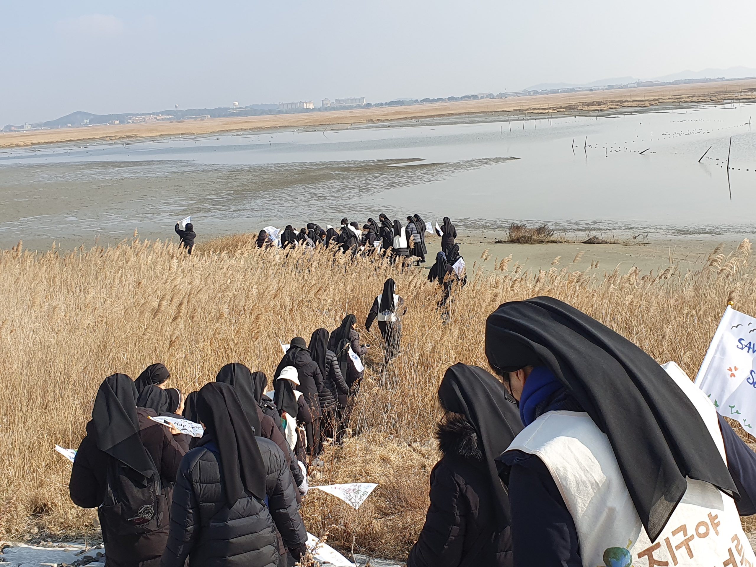 Peregrinas de la esperanza: un viaje a través de las llanuras de marea de Corea del Sur