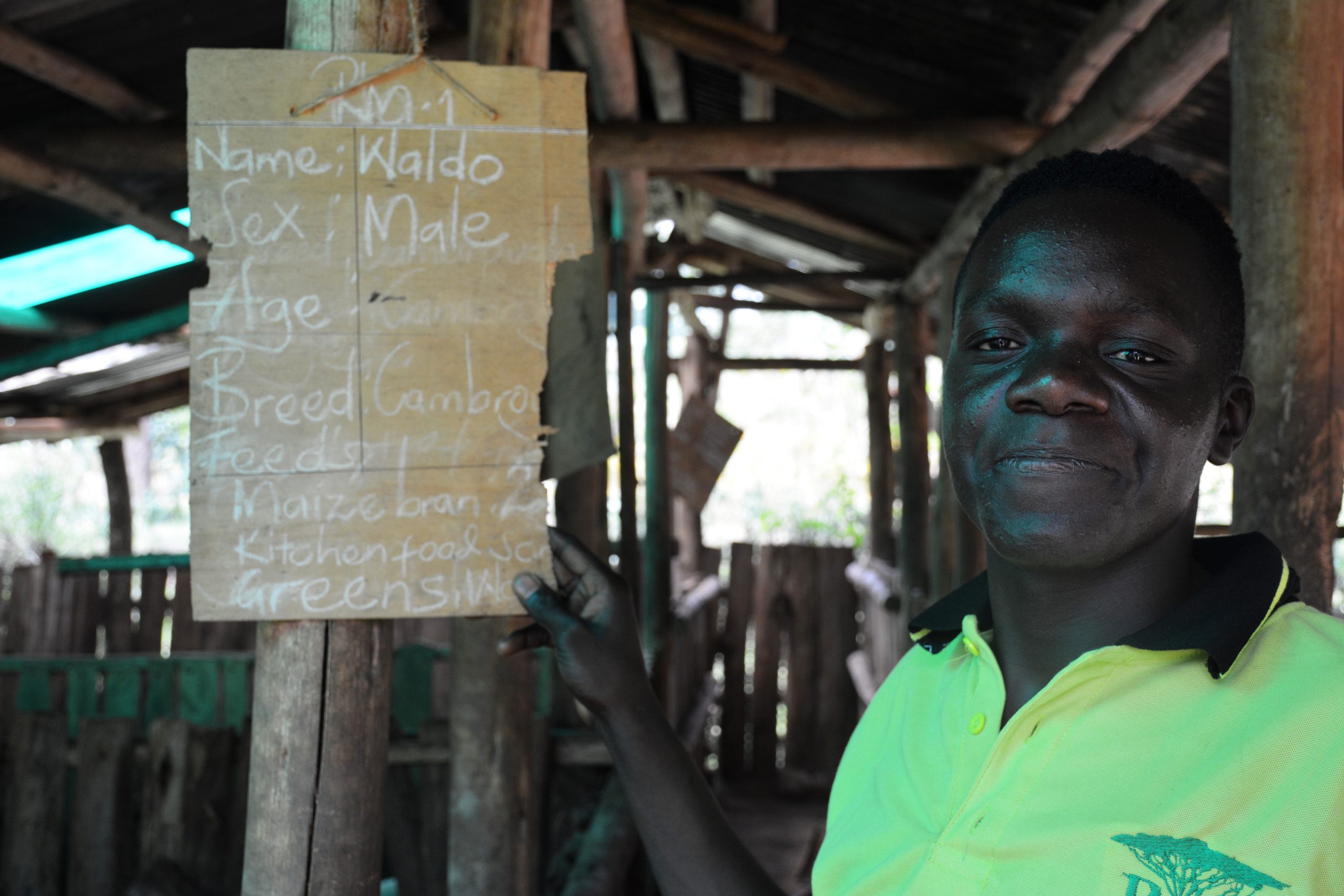 Bethany Land Institute: Restaurando la tierra y la esperanza en Uganda