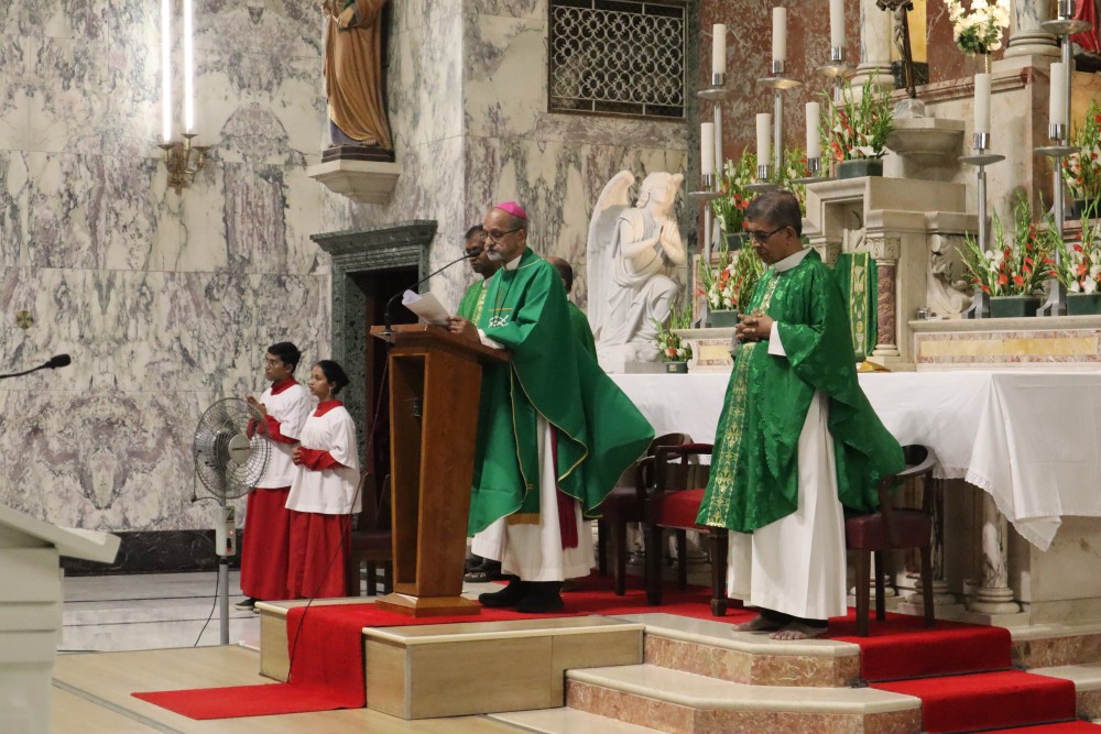 Haciendo las paces con la creación: Reflexiones desde la Arquidiócesis de Bombay