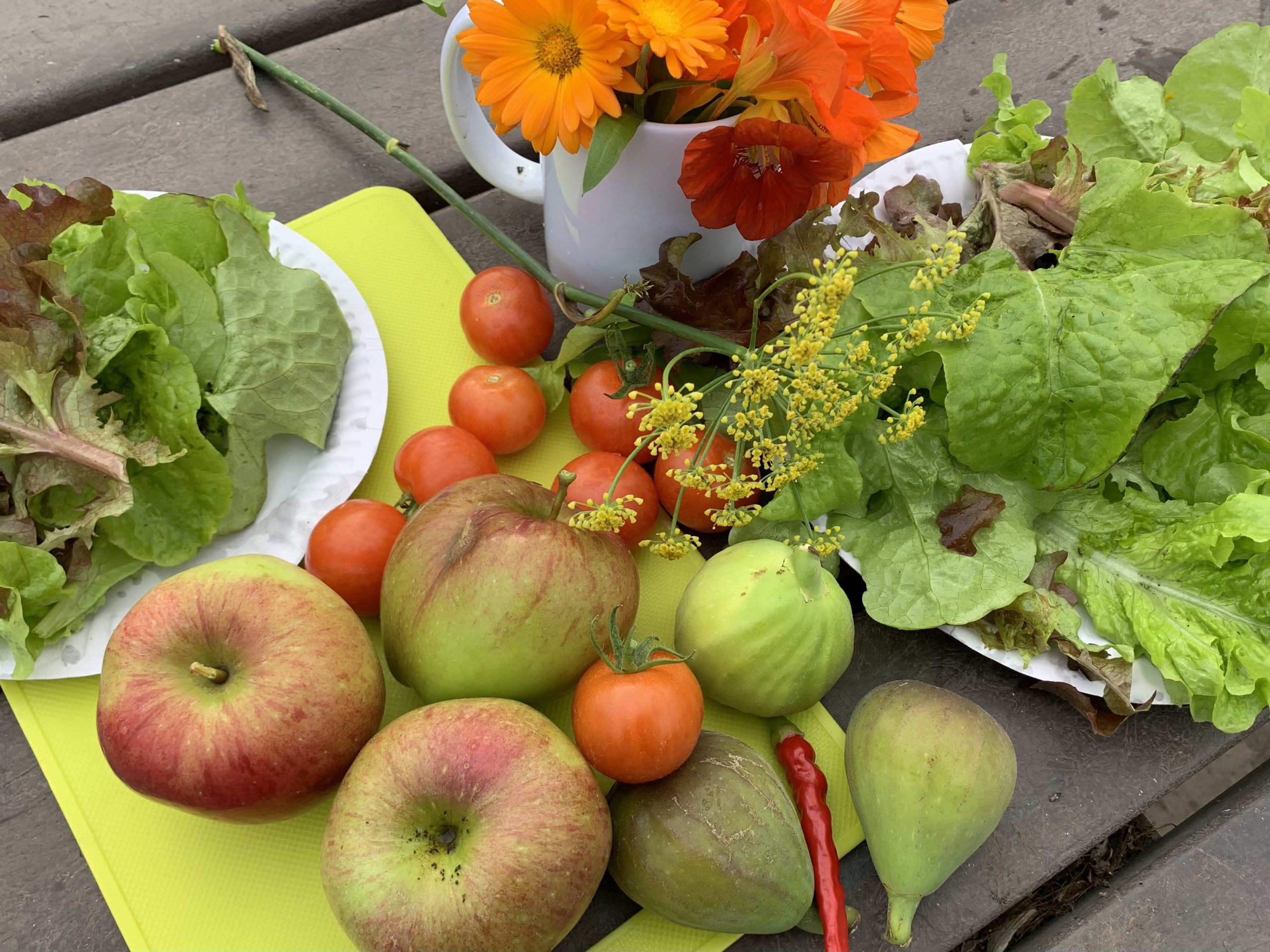 Nada es demasiado pequeño: La Provincia Europea de la Sociedad del Santo Niño Jesús