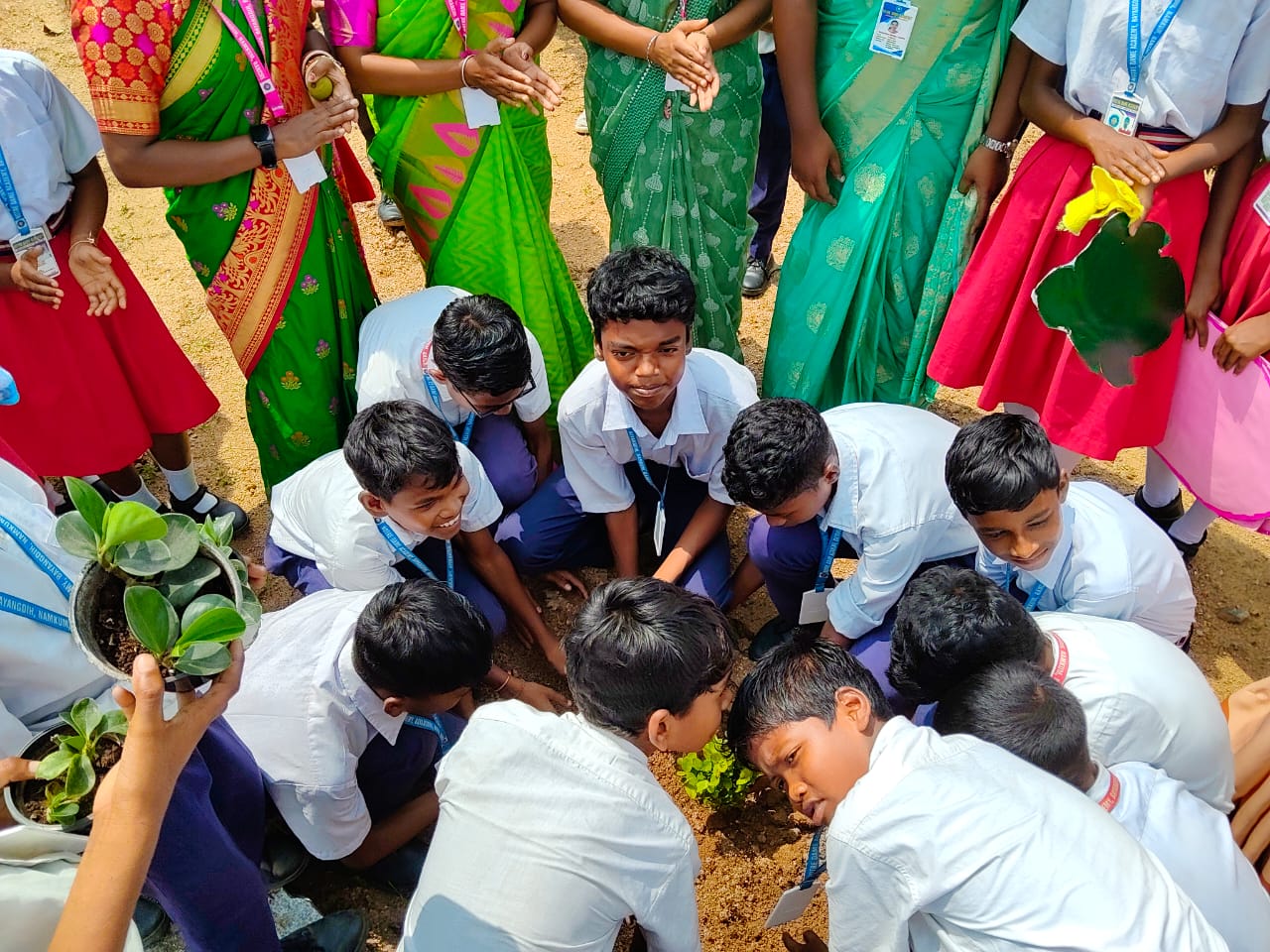 Lo que movilizó a la Iglesia en 2025: las 10 acciones principales que están dando forma a una nueva cultura ecológica