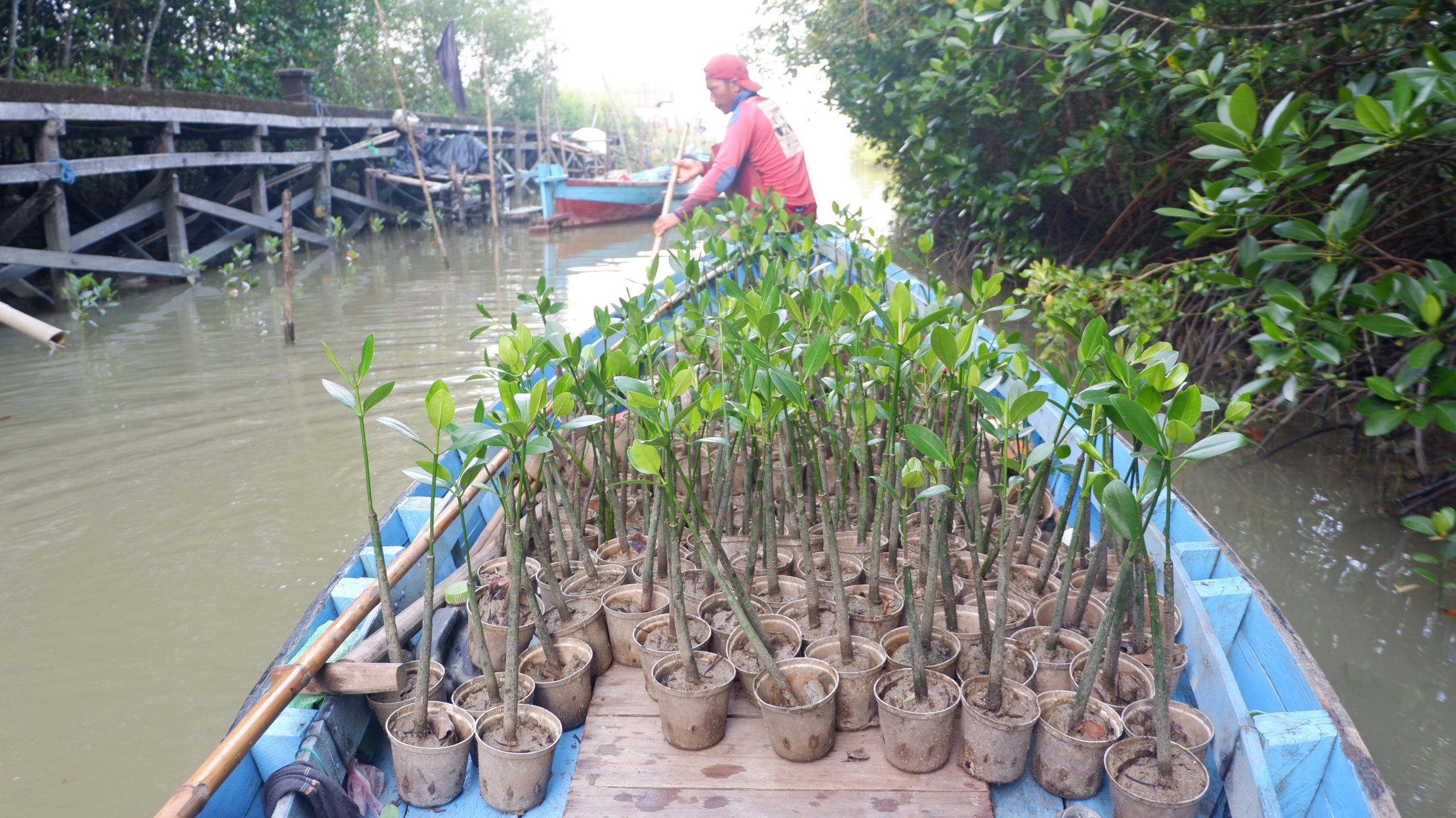 De la intención a la infraestructura: cuatro lecciones para convertir la conversión ecológica en una acción a gran escala