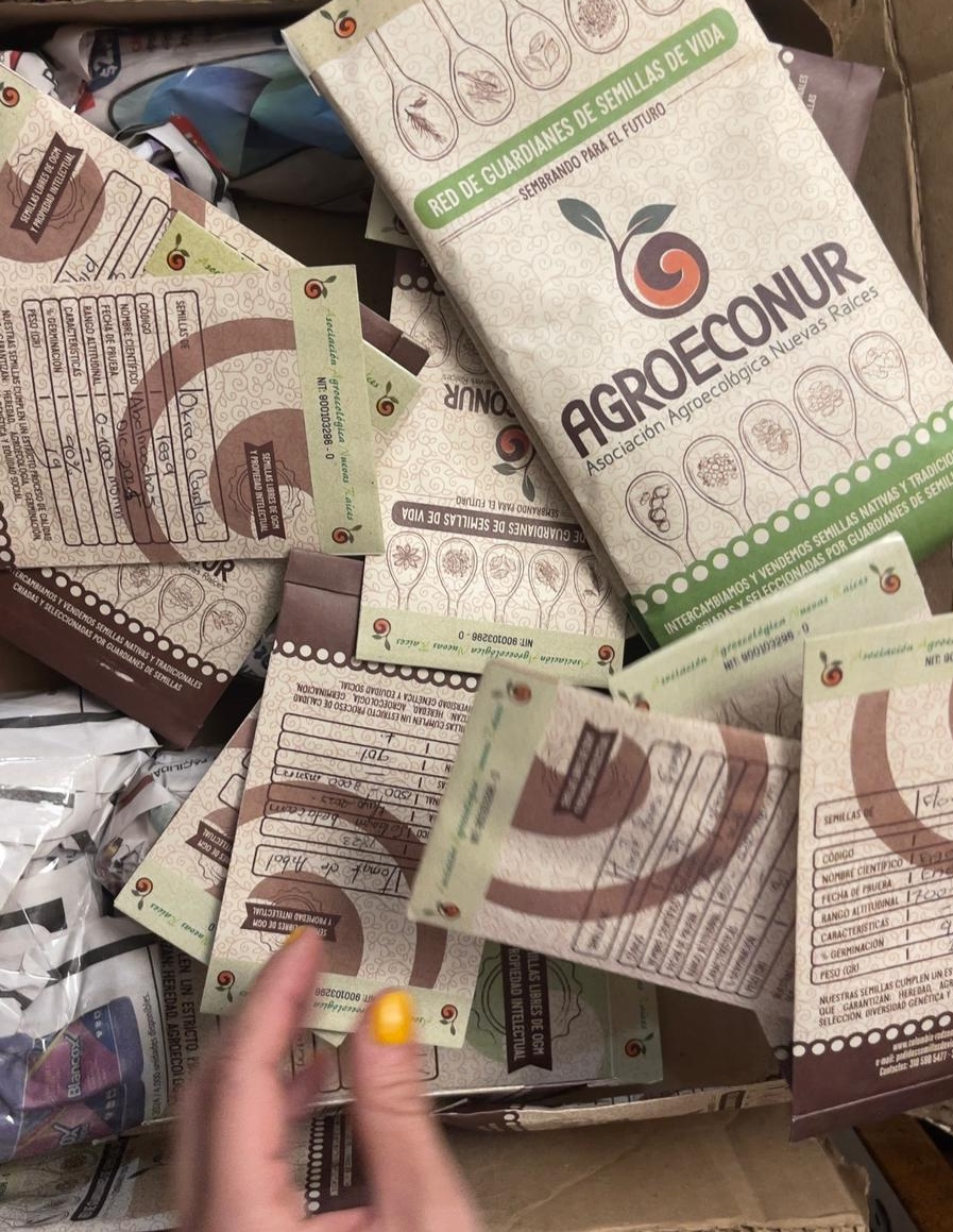 Semillas de esperanza para la Casa Común: una alianza por la biodiversidad y la ecología integral en Colombia