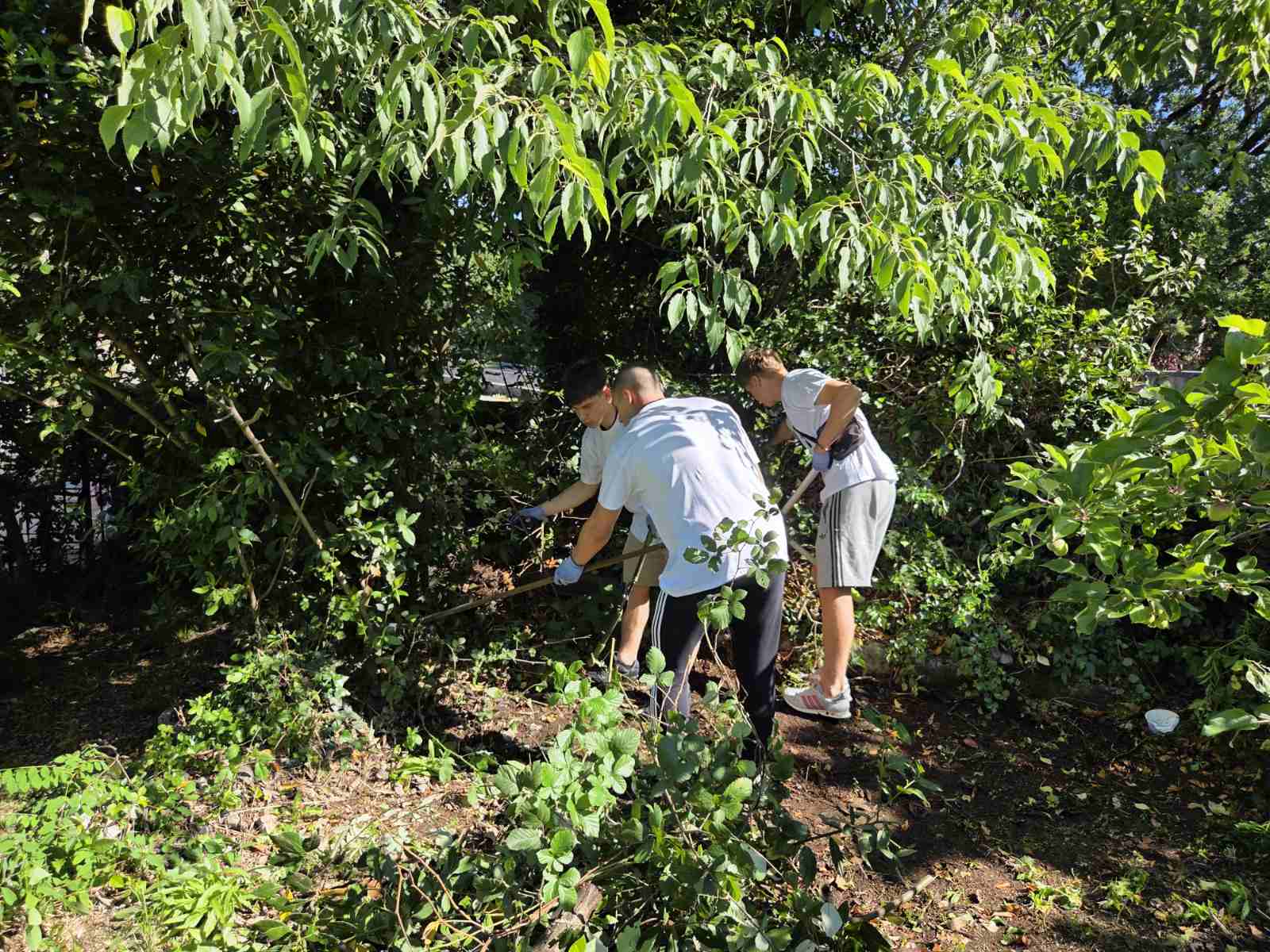 De los obispos a las parroquias: cómo Croacia está construyendo un camino compartido hacia la ecología integral